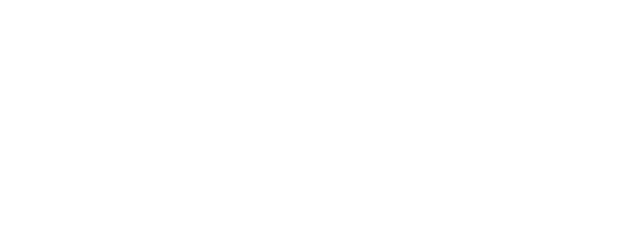 lpa carpentry logo upscaled white